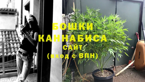 эйфоретик Касимов