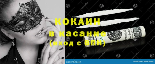 сатива Каменногорск