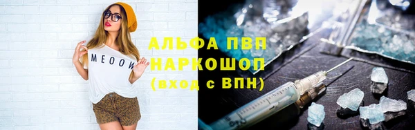 гидра Карпинск
