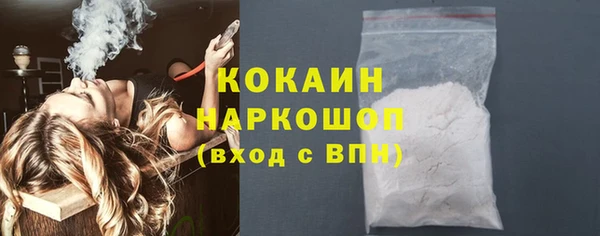 гидра Карпинск