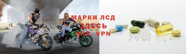 гидра Карпинск