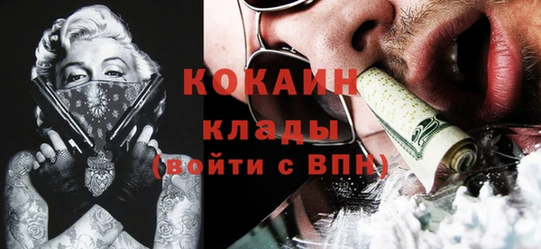 гидра Карпинск