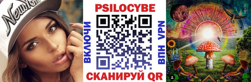 где купить   Щучье  Псилоцибиновые грибы прущие грибы 